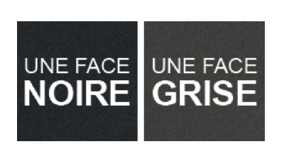 Coloris de la plaque
