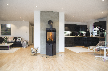 Wood stove Scan 80-2