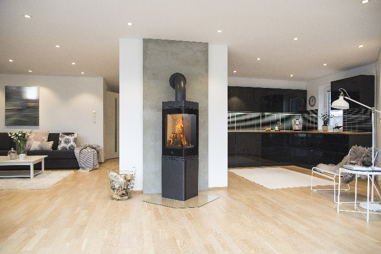 Wood stove Scan 80-2