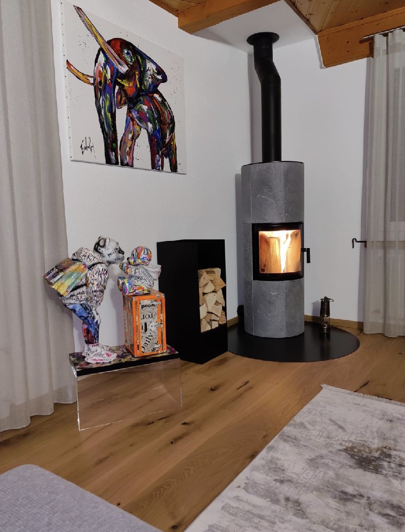 Poêle à bois - Carron-Lugon